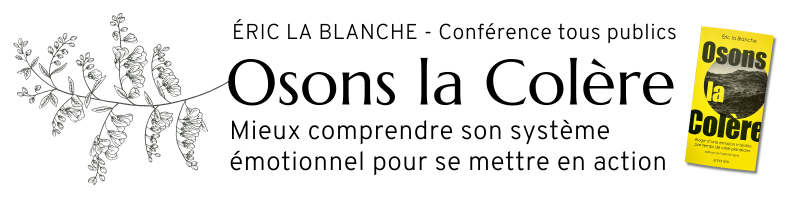 Conférence colère